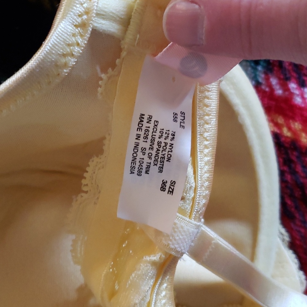 padded bra - Picture 5 of 6